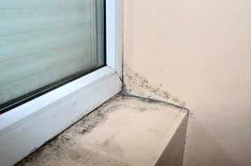 Mold removal by Glover Environmental