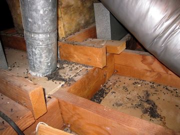 Crawl Space Restoration in Knightdale, North Carolina